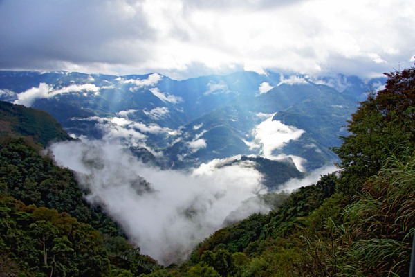 台湾阿里山隙顶图片