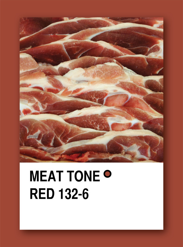 肉色调红色样本设计