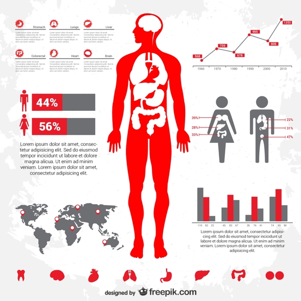 人体的信息图表