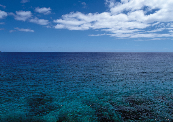 大海风景