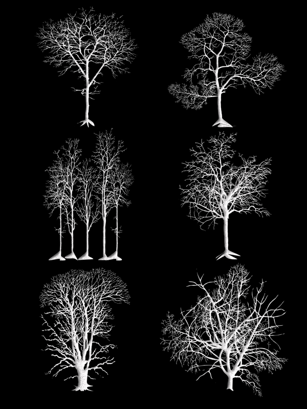 冬季树木白色秃树装饰素材设计