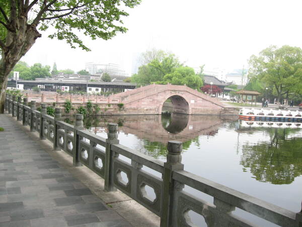 树植物水风景