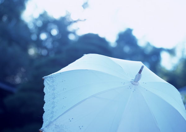 雨伞摄影图片