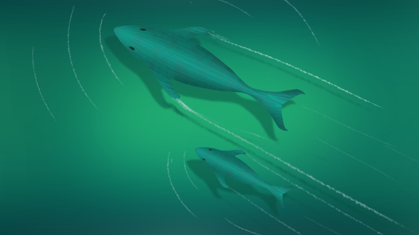绿色水中游泳的鲸鱼卡通背景