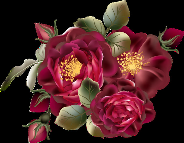 复古文艺风成熟玫瑰花装饰素材