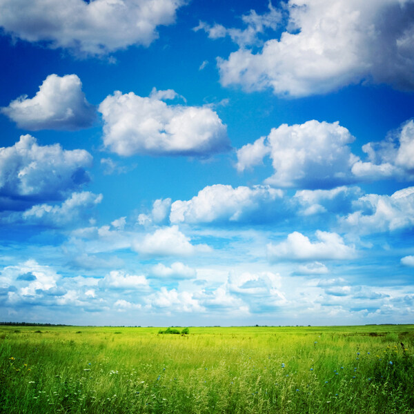 美丽的草地和蓝天图片
