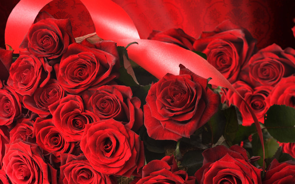 鲜艳红玫瑰花图片
