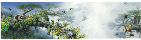 手绘动物植物昆虫图片