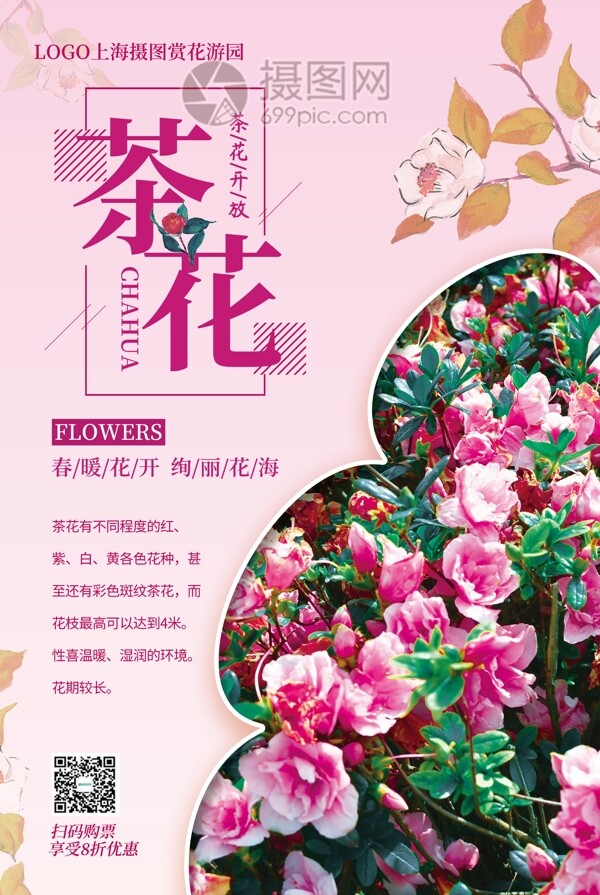大气茶花春季赏花促销海报