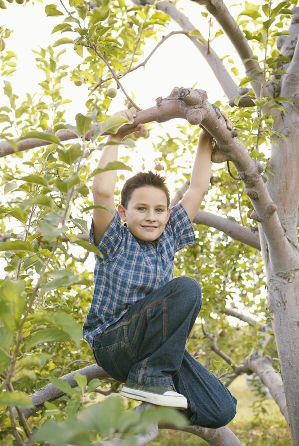 站在树上的小男孩图片