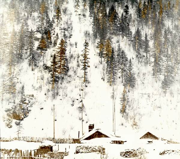 雪地树林房屋