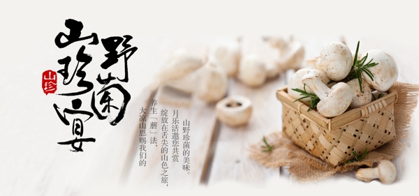 介绍野菌网页banner