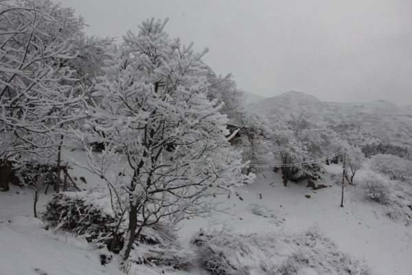 雪景图片