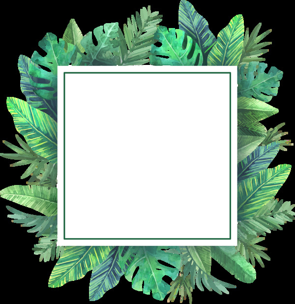 绿叶插画边框免抠png透明图层素材