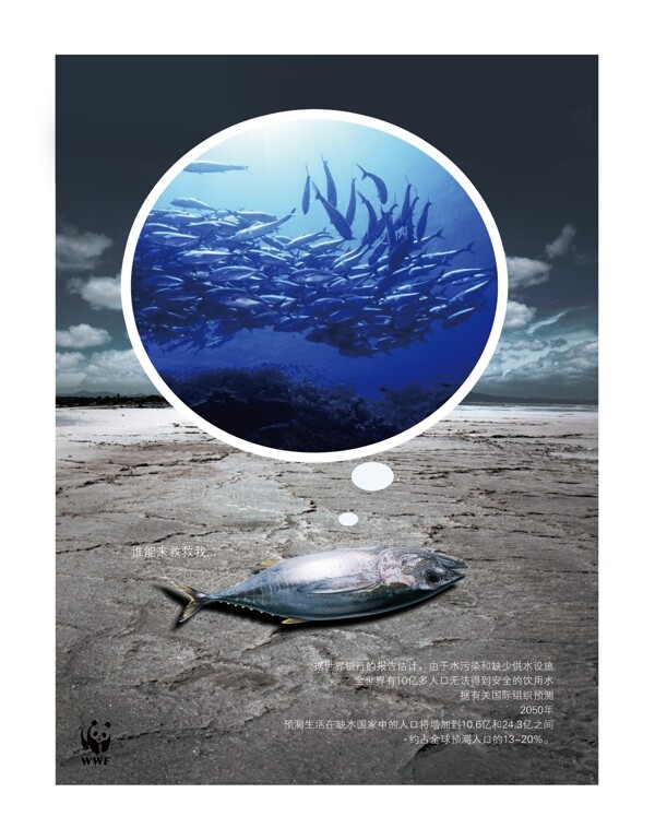 公益广告海鱼图片