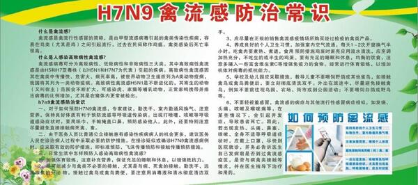 h7n9禽流感防治常图片