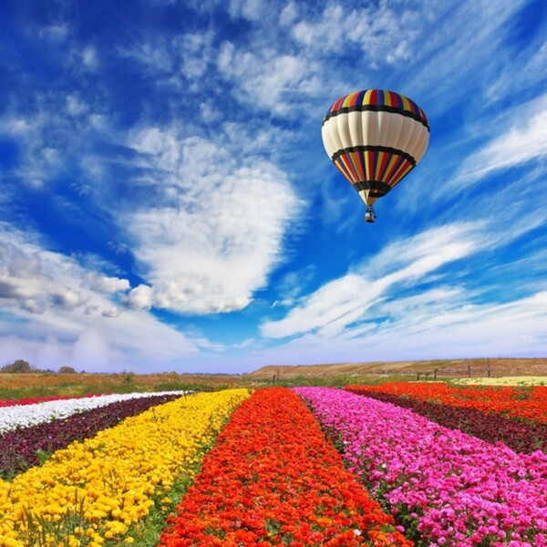 唯美清爽热气球花朵背景图