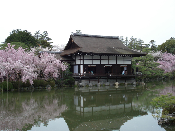 樱花春天风景图片