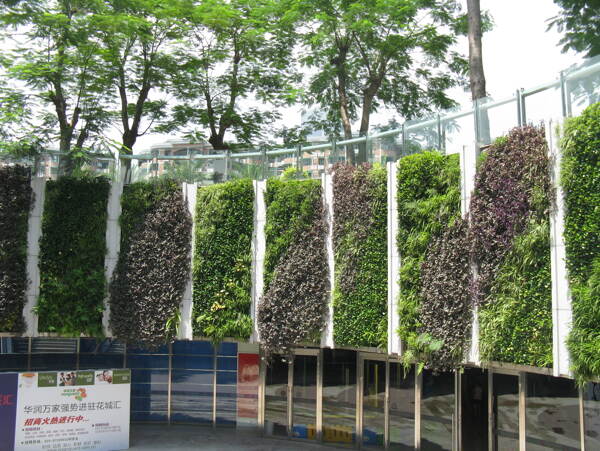 垂直绿化商业广场图片
