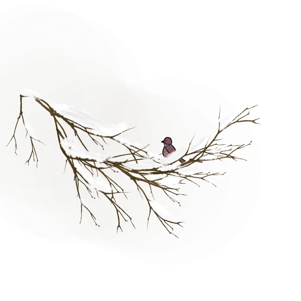 冬季落雪的树枝和一只鸟插画