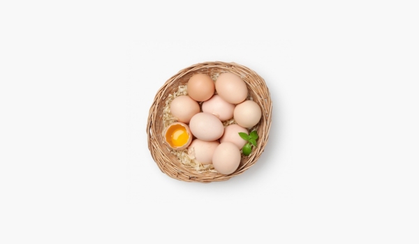 俯视图鸡蛋篮子生命食物煎烤油炸蛋黄