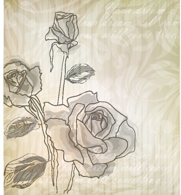 手绘玫瑰淡雅玫瑰图片