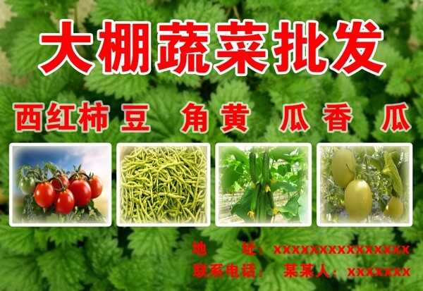 大棚蔬菜广告牌图片