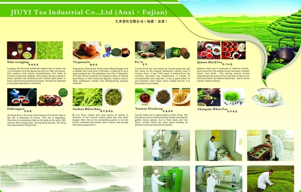 茶叶产品宣传手册图片