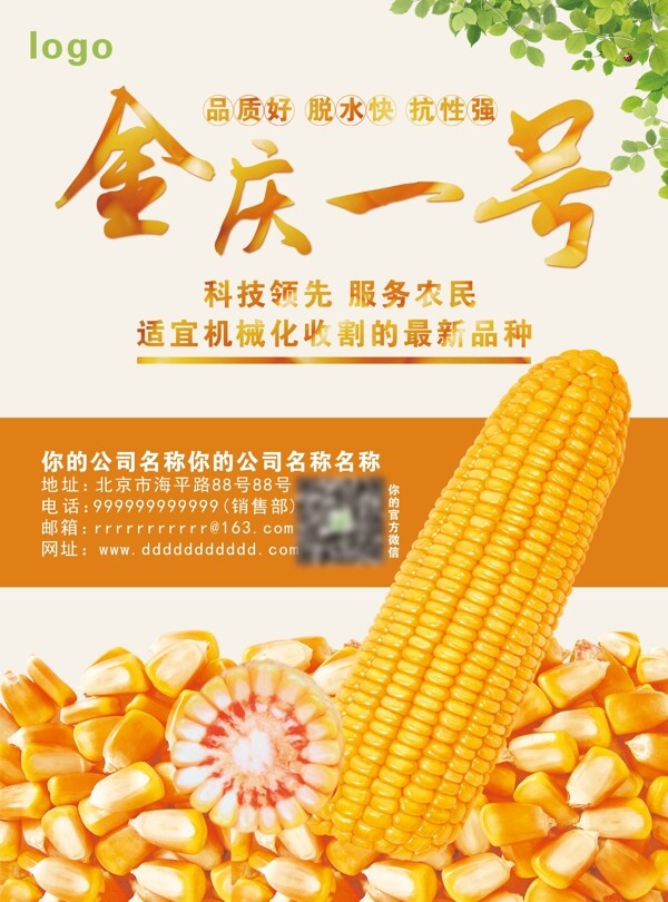 玉米种子创意宣传单页
