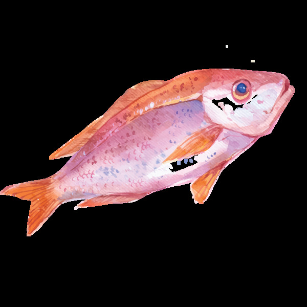 水彩绘画海鱼海产图案
