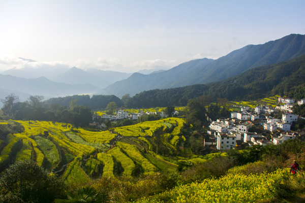 婺源江岭梯田图片