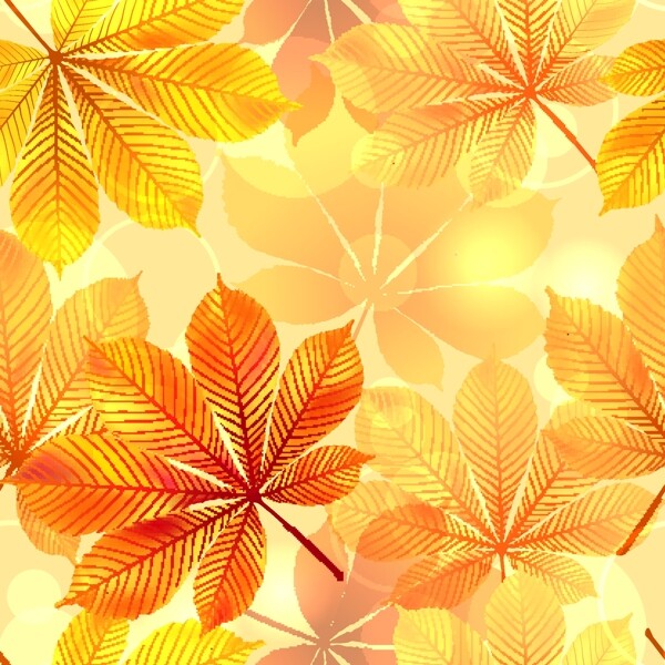 秋季金色树叶背景