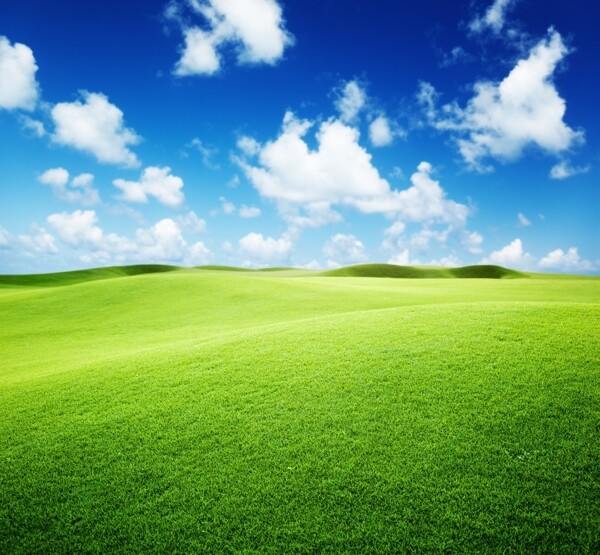 高清绿色风景背景图片