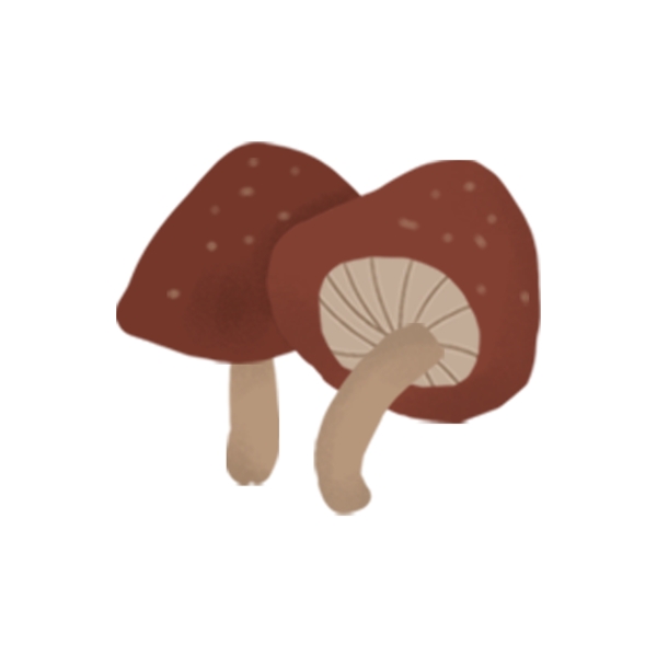 手绘蘑菇果蔬插画元素