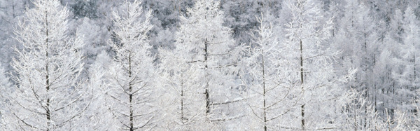 雪山雪景背景免费下载