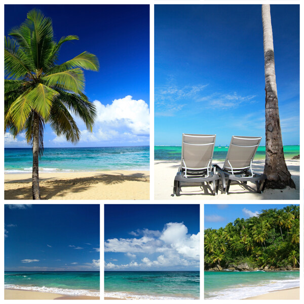 热带沙滩图片图片