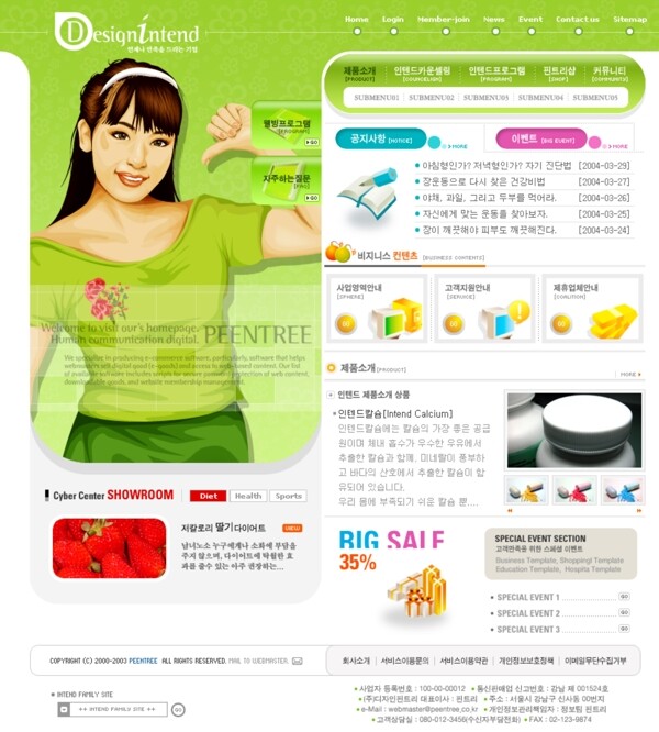 韩国网页设计模板四十五图片