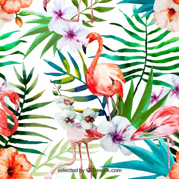 水彩绘朱槿花和火烈鸟矢量素材图片