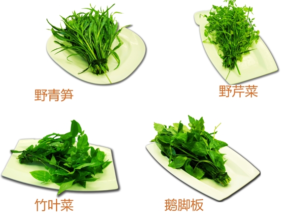 野菜素材图片