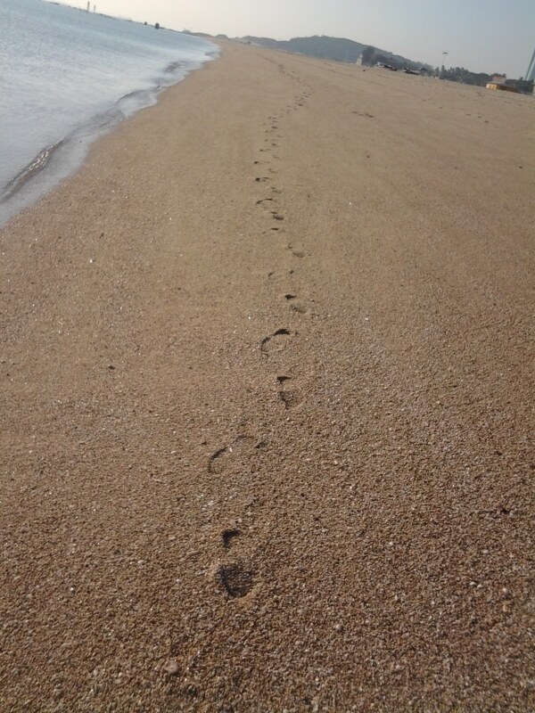 金色沙滩脚印图片