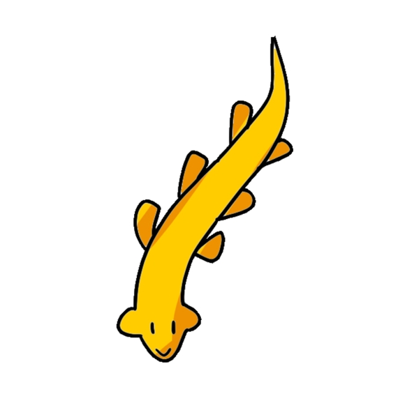 一条黄色的泥鳅