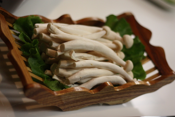 海鲜菇
