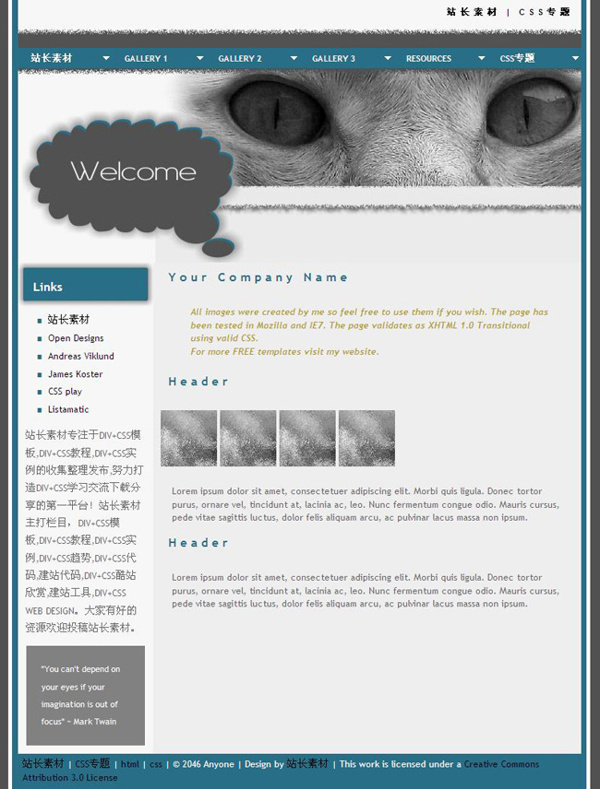 艺术猫眼cssdiv网页模板
