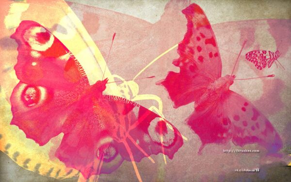 蝴蝶和飞蛾等昆虫PS笔刷
