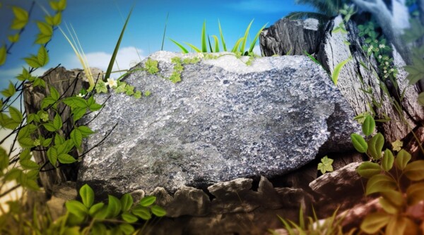 花丛中的岩石视频素材