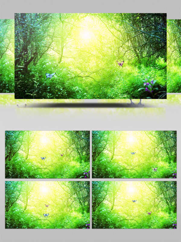 唯美森林童话两只蝴蝶入森林视频素材
