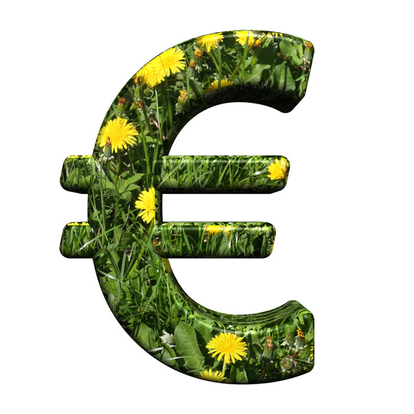 欧元符号从花的字符集