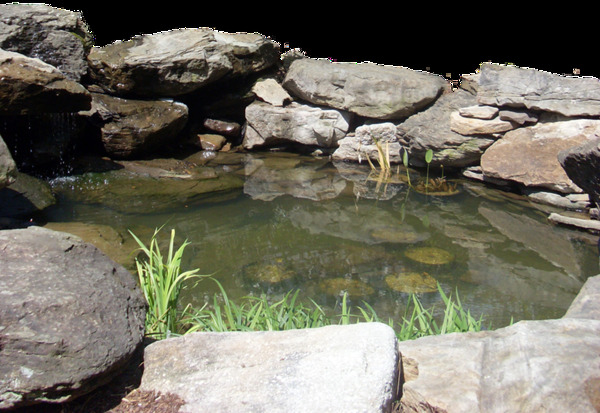 池塘河水透明素材