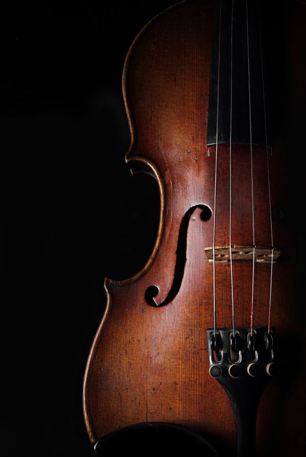 黑色背景下的小提琴图片