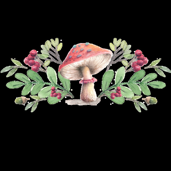 蘑菇和绿叶唯美手绘